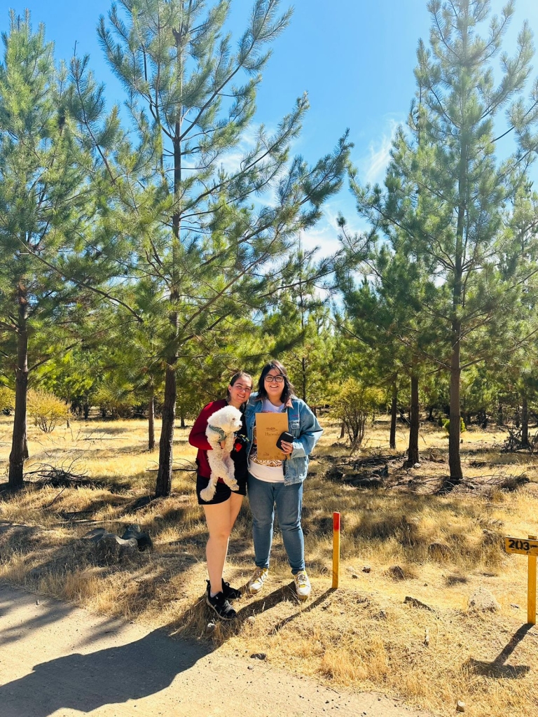 Imagen de WhatsApp 2025-04-23 a las 18.07.48_2514881b